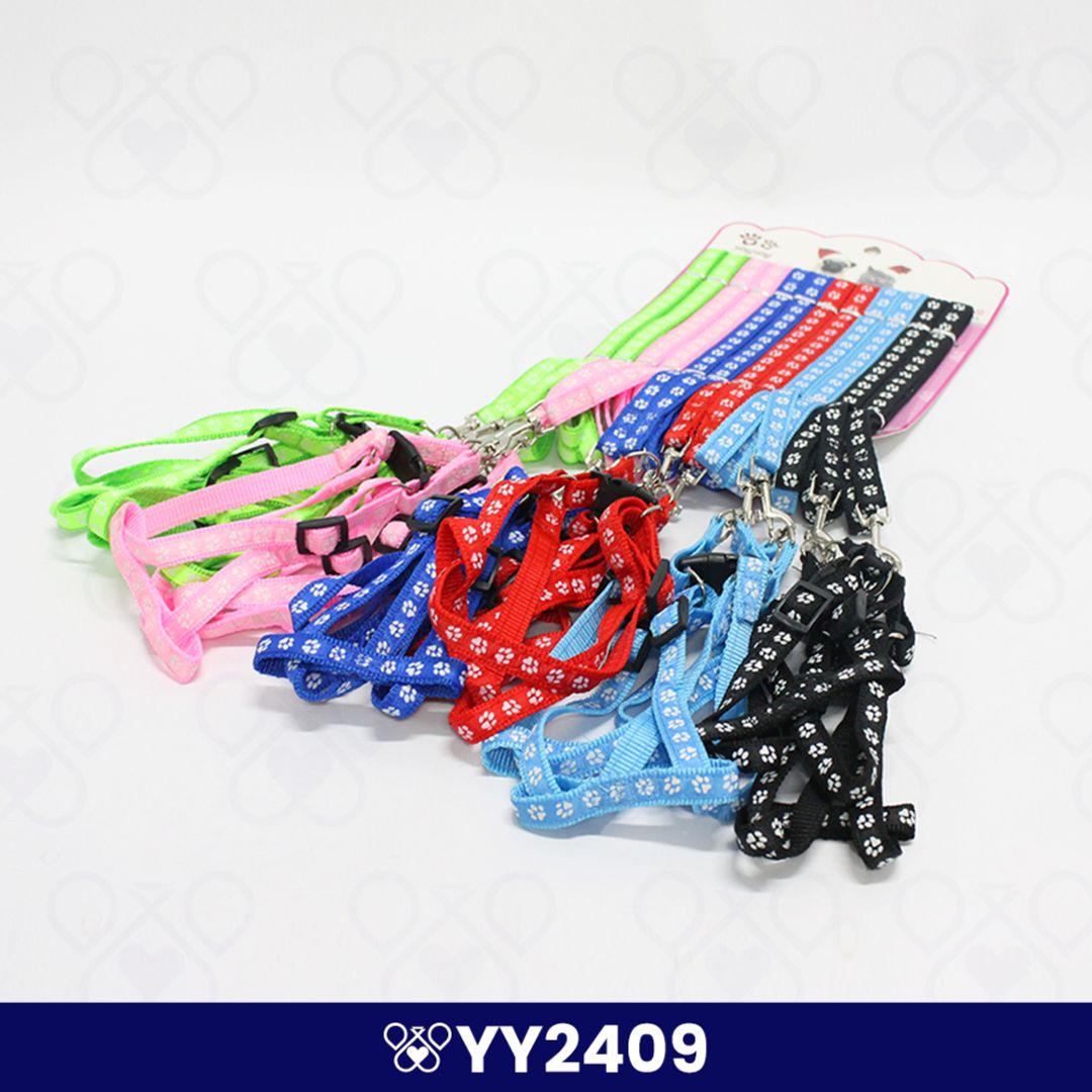 YY2409