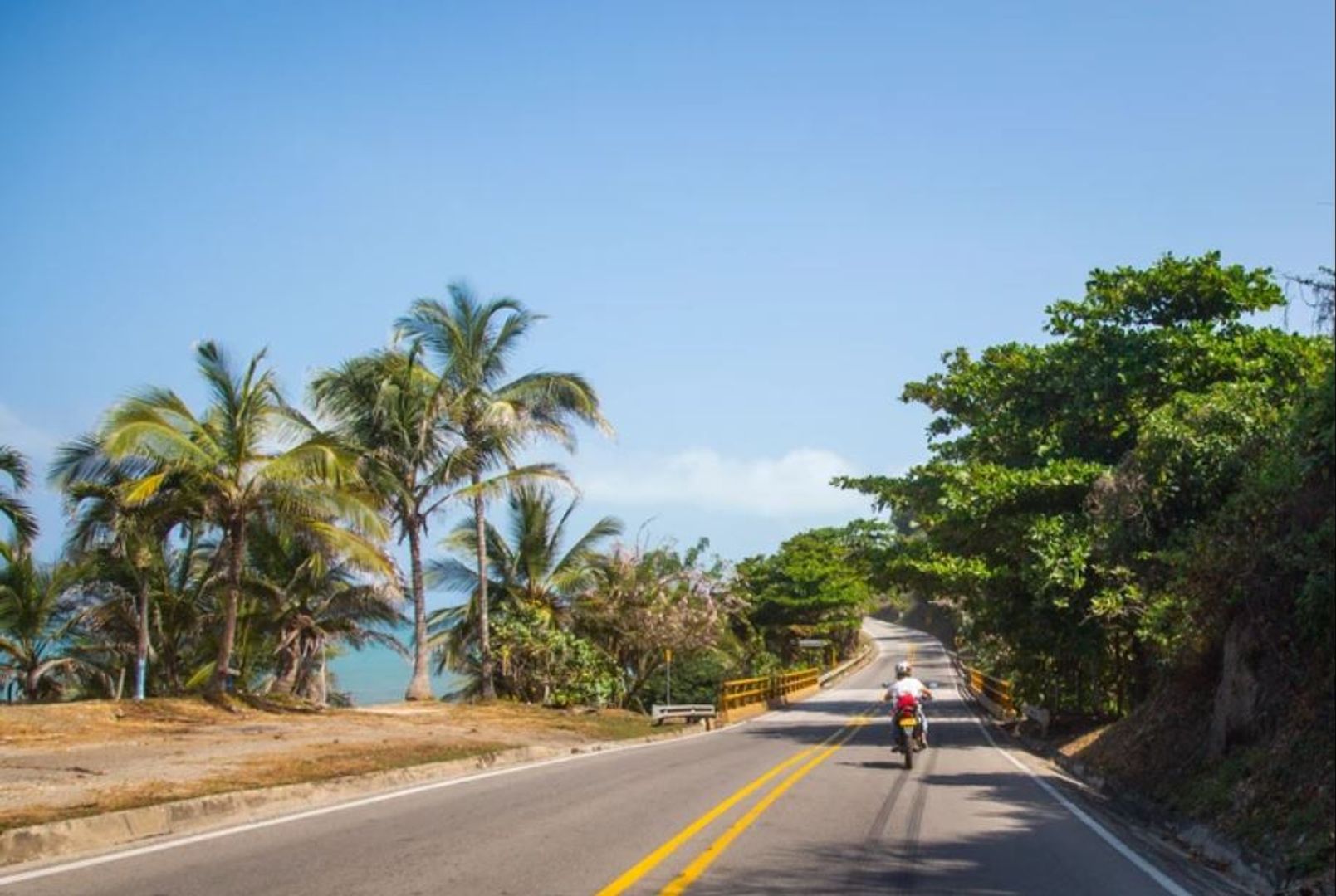 Palomino Cruisin' 2 días 1 Noche