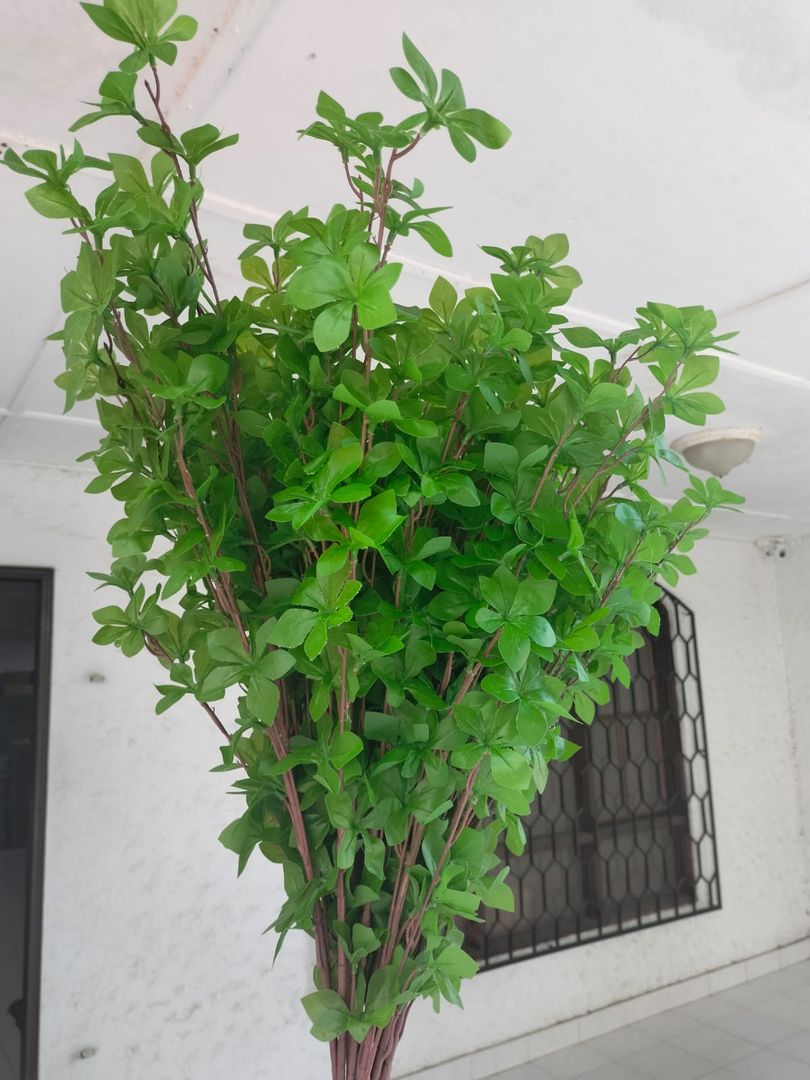 RAMAS DE ARBOL