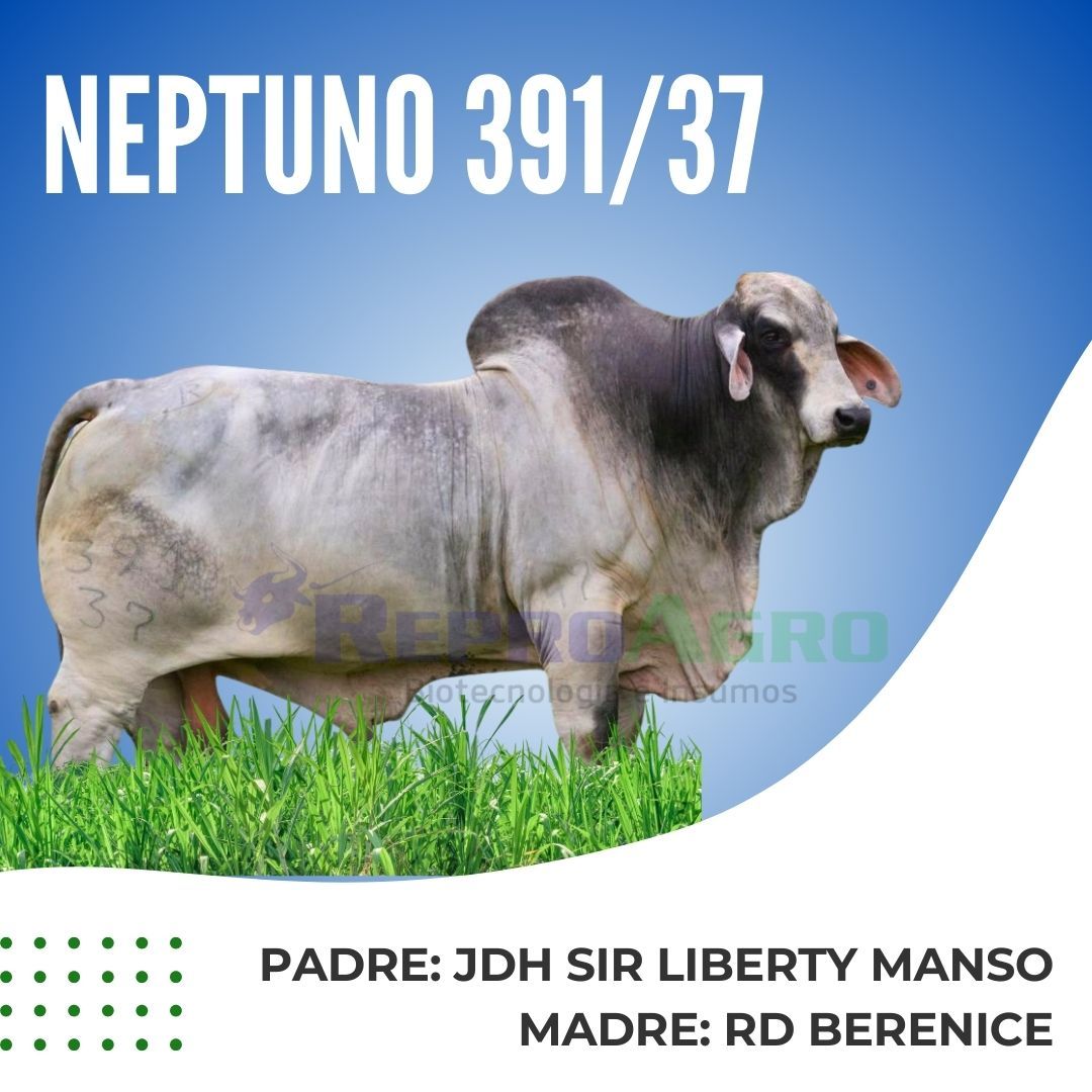 NEPTUNO