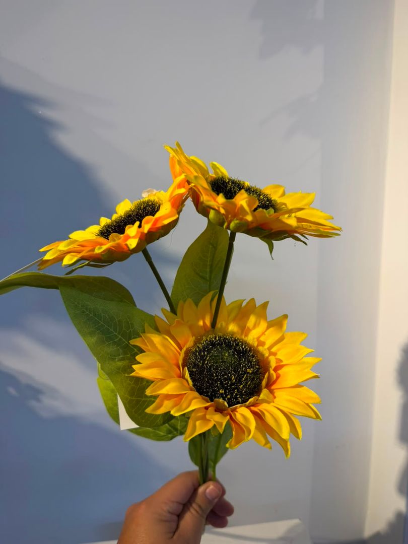 VARA DE GIRASOL X 3
