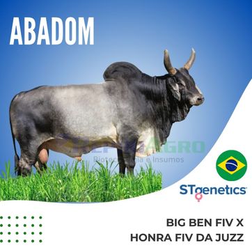 ABADOM - imagen 1