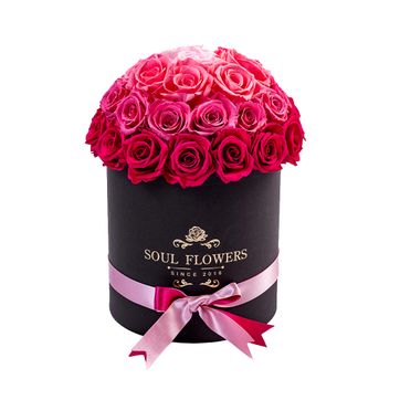 Imagen del producto BOX 40