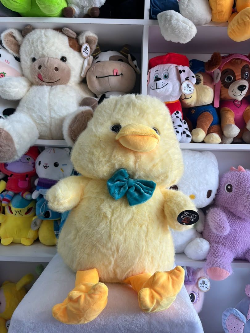 Pollito 50cm 