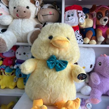 Imagen del producto Pollito 50cm 