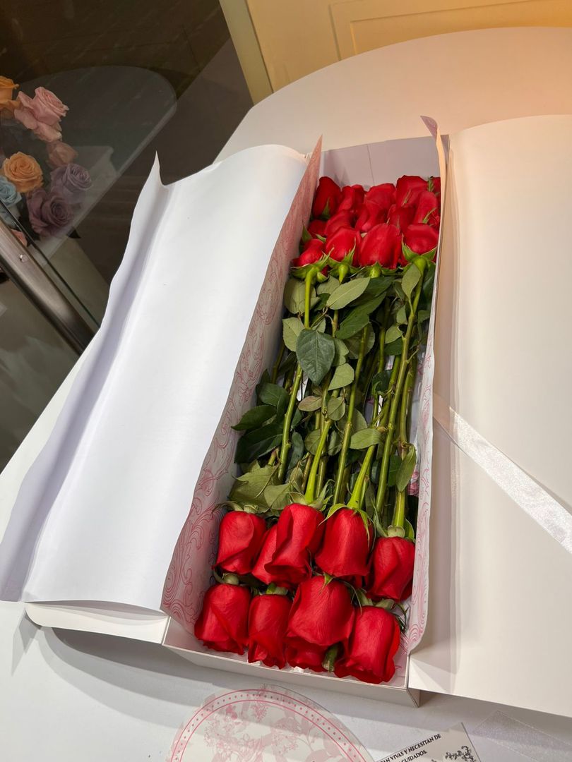 CAJA ORIGENES