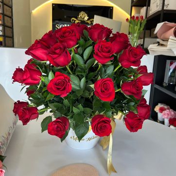 Imagen del producto HONGO MINI LOVE EN MACETA