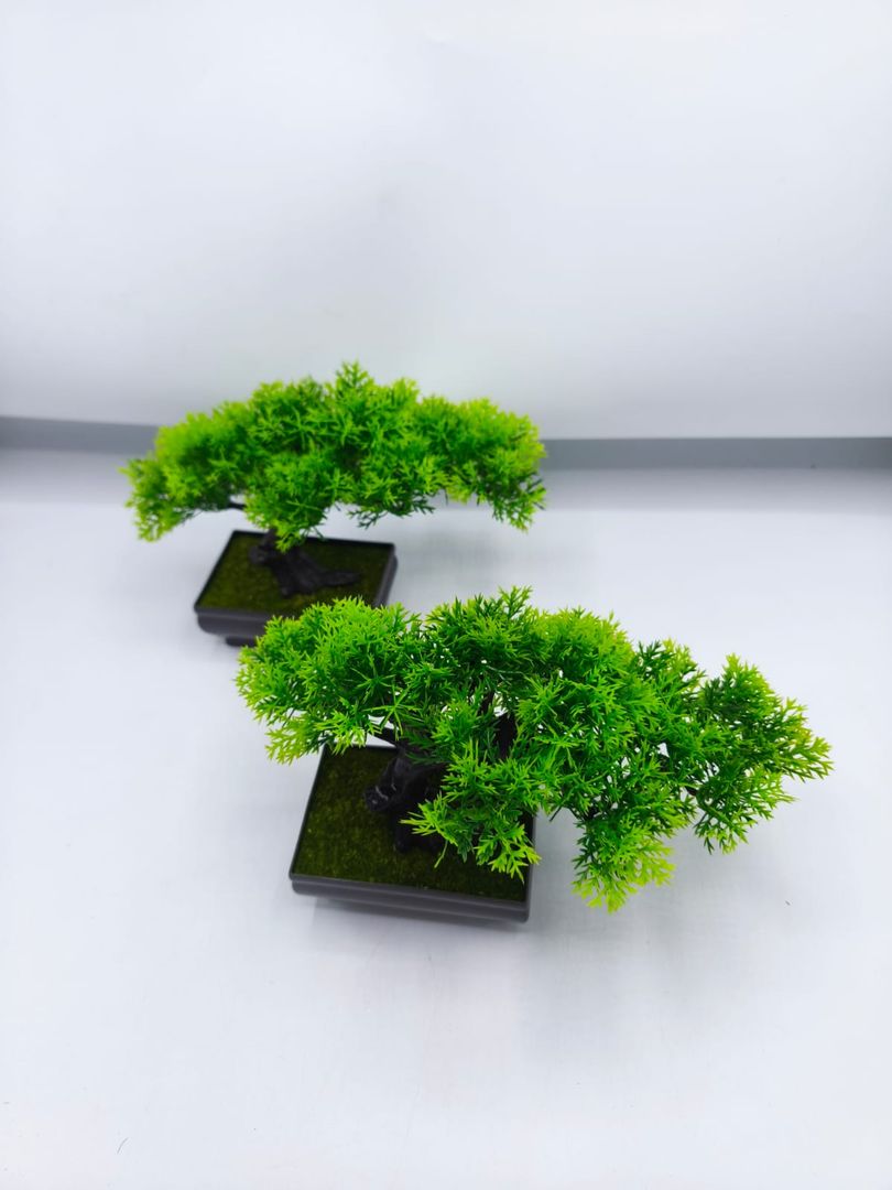 ARBOL MATERO JM007