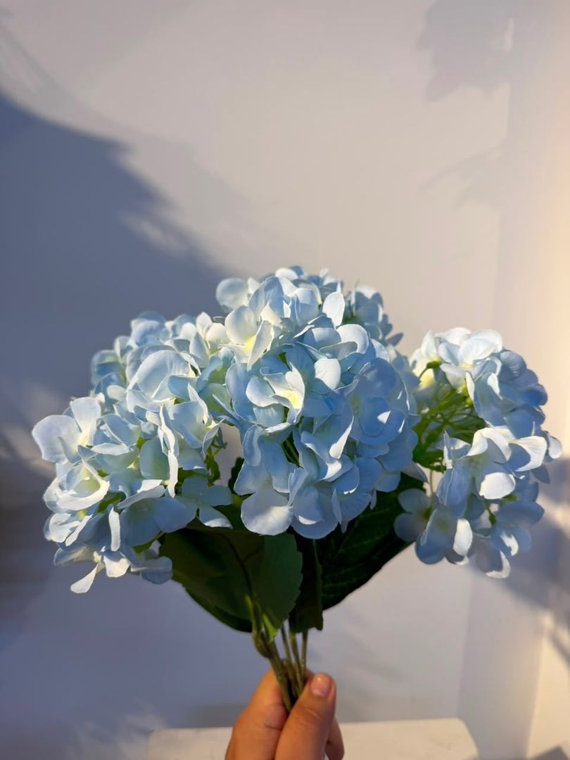 HORTENCIA X 5 AZUL