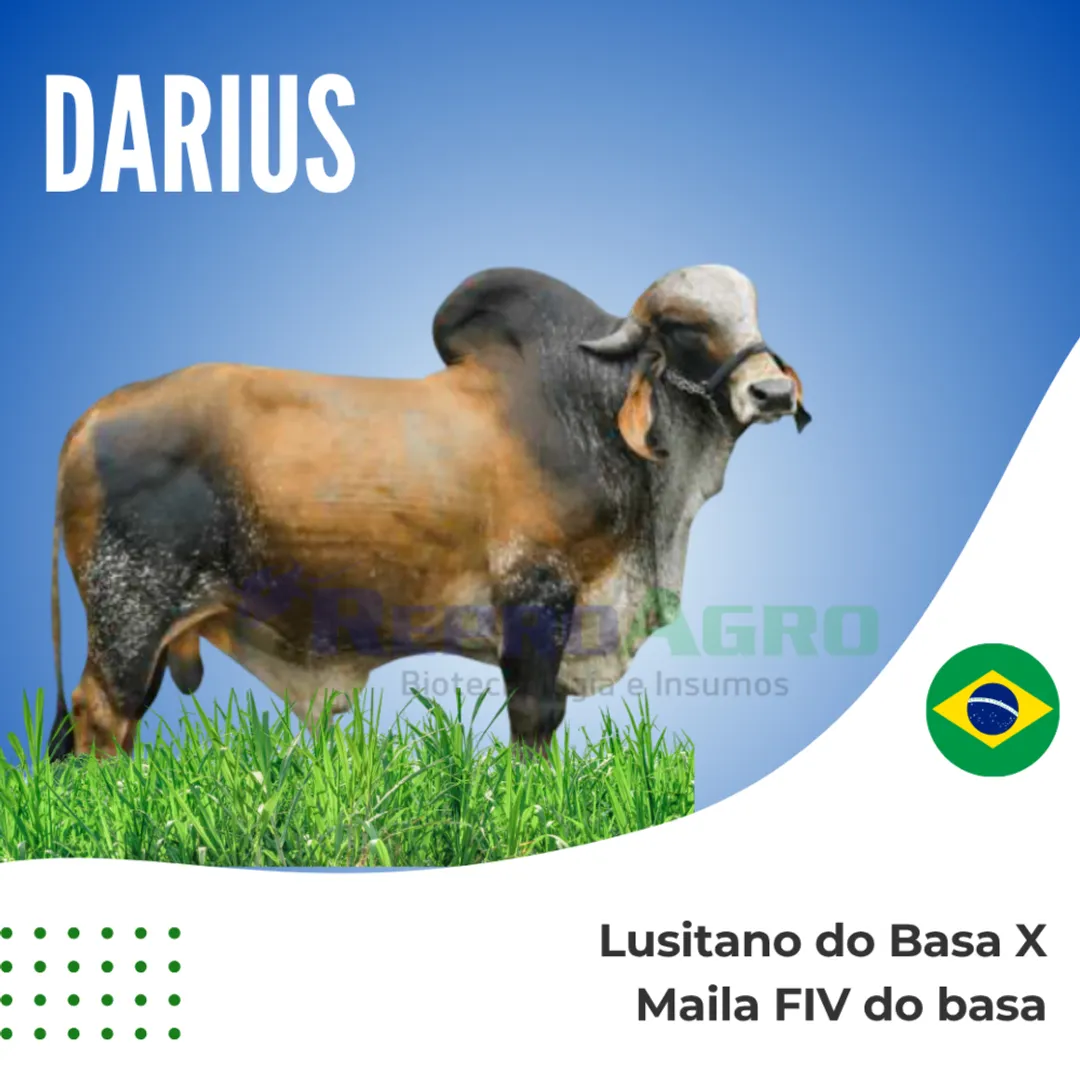 DARIUS