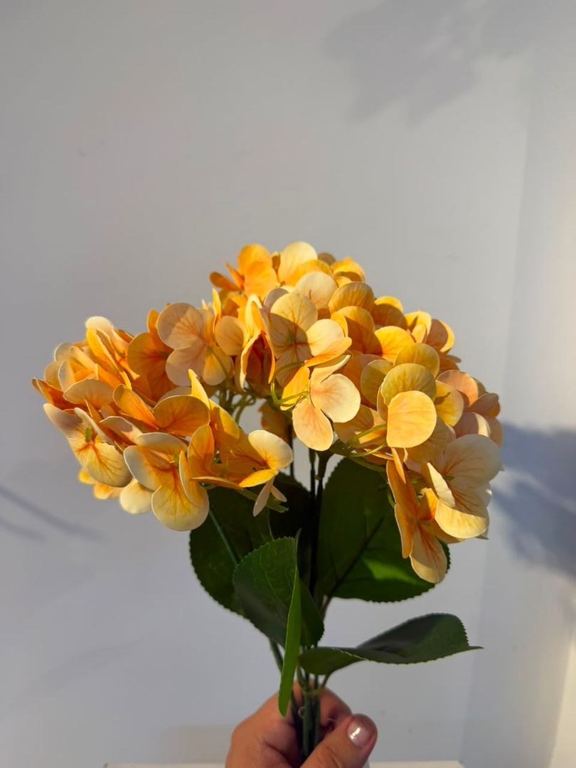 HORTENCIA X 5 NARANJA ENVEJECIDO DE LATEX