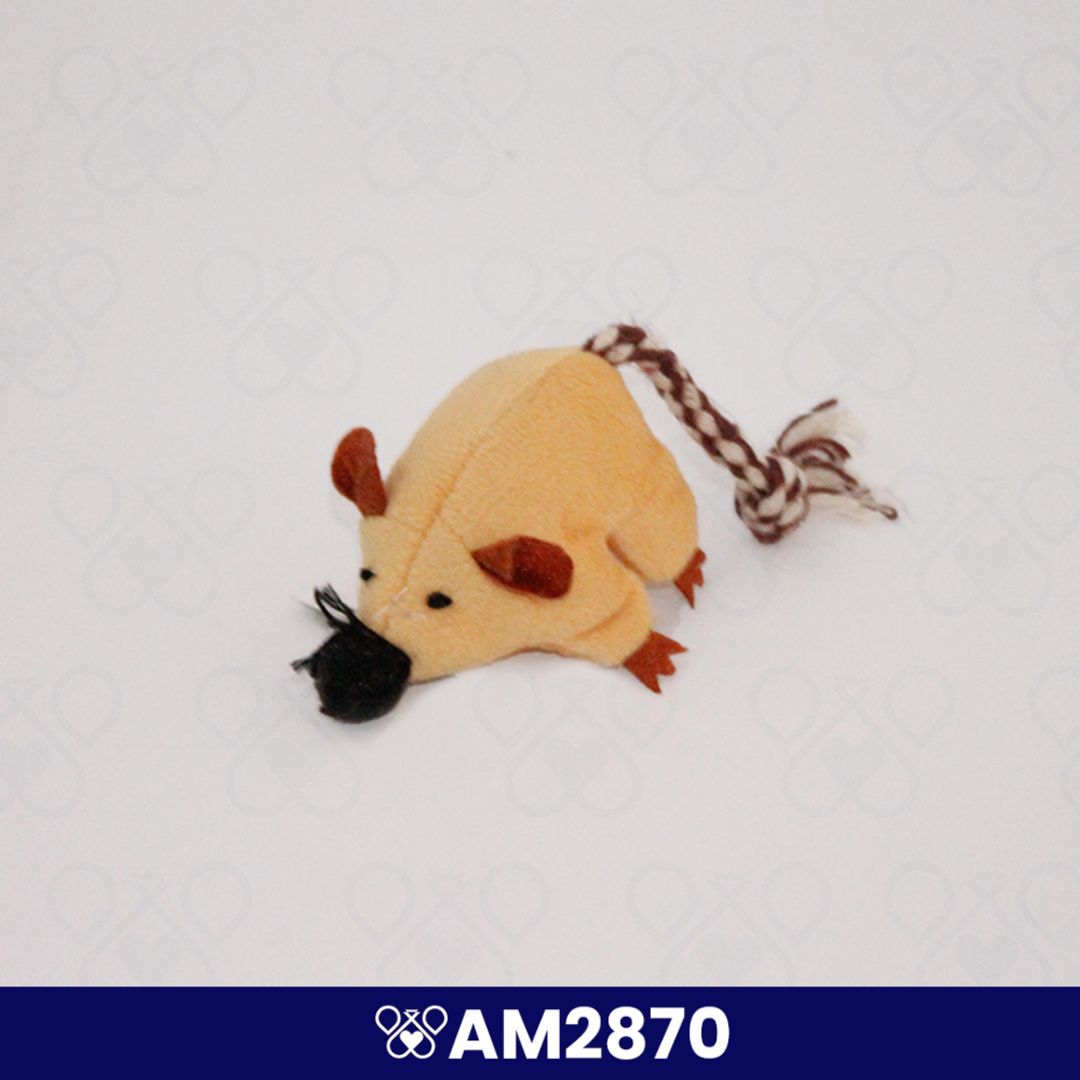 AM2870