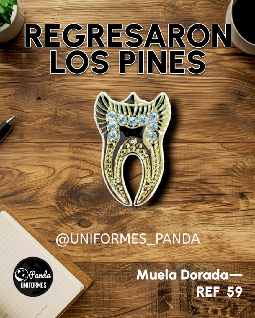 PIN MUELITA