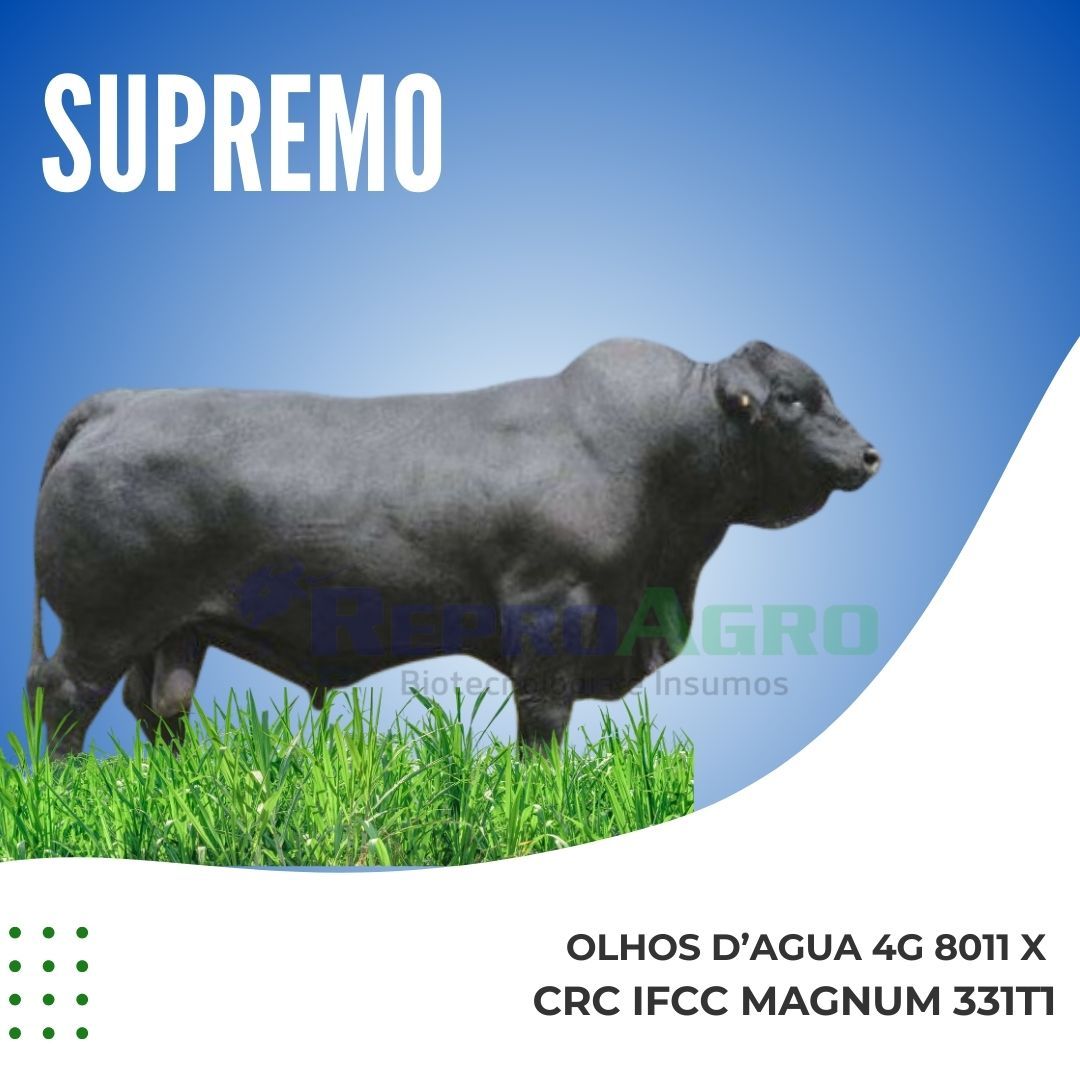 SUPREMO