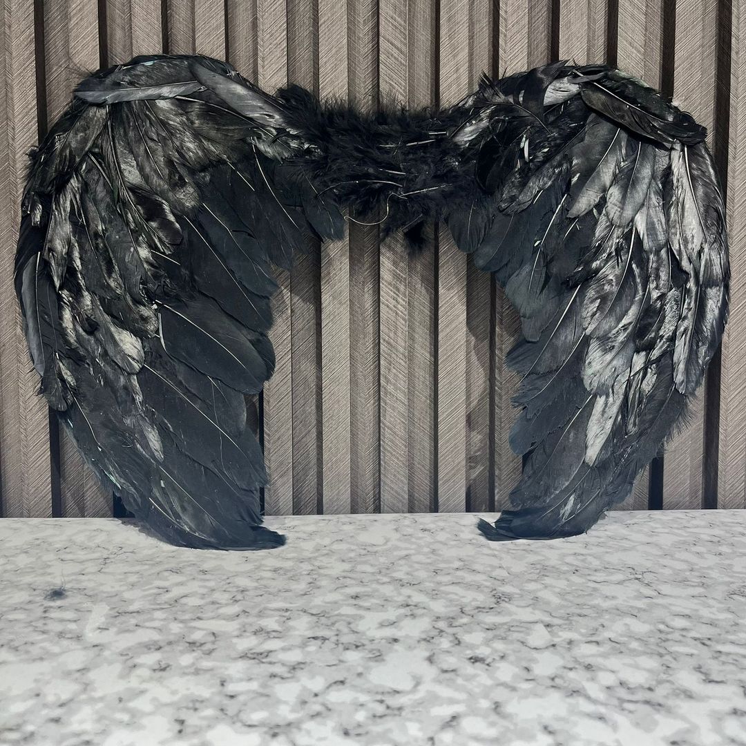 ALAS DE ANGEL ABIERTA NEGRA