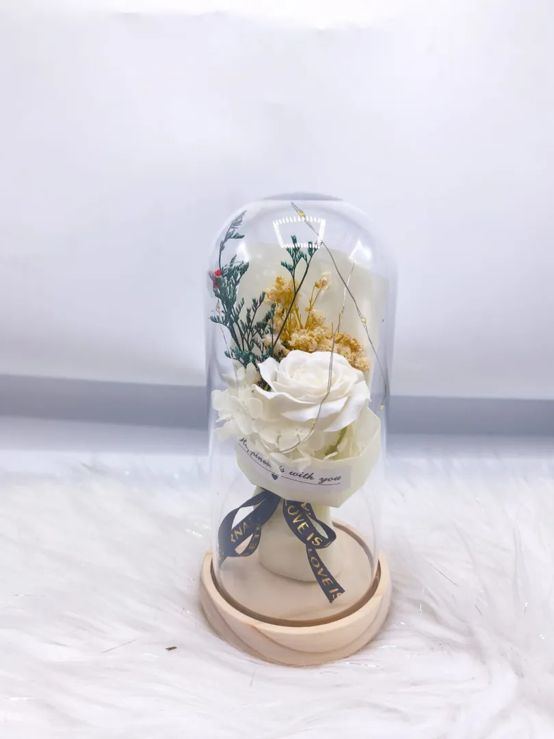 BURBUJA LUZ JM026