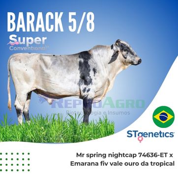 BARACK SUPER CONVENCIONAL - imagen 1