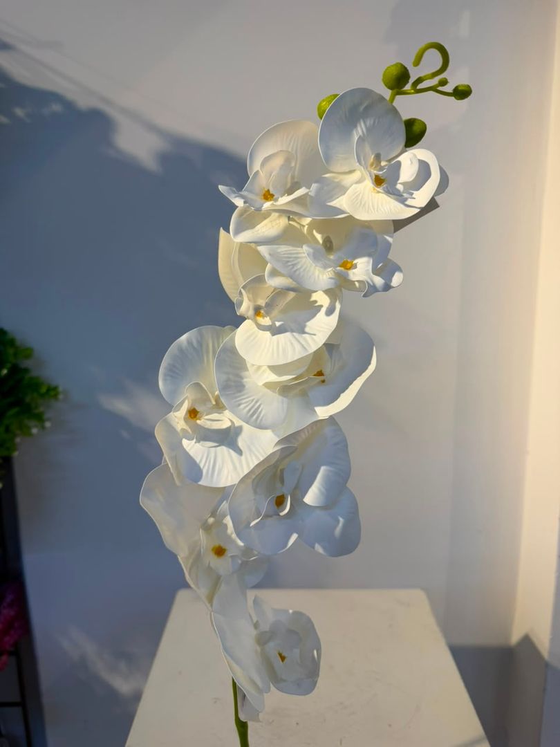 ORQUIDEA EN VARA X 9 BLANCA