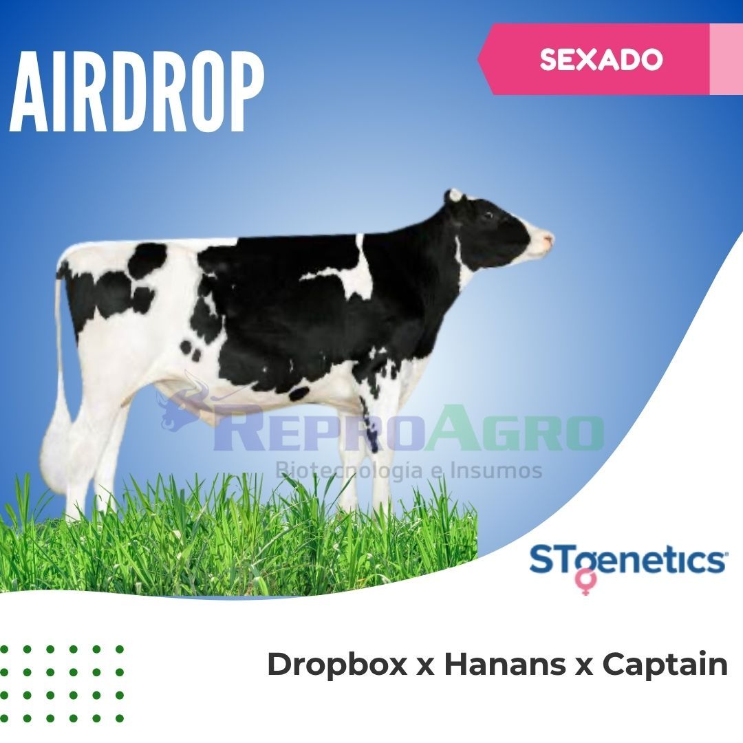AIRDROP SEXADO