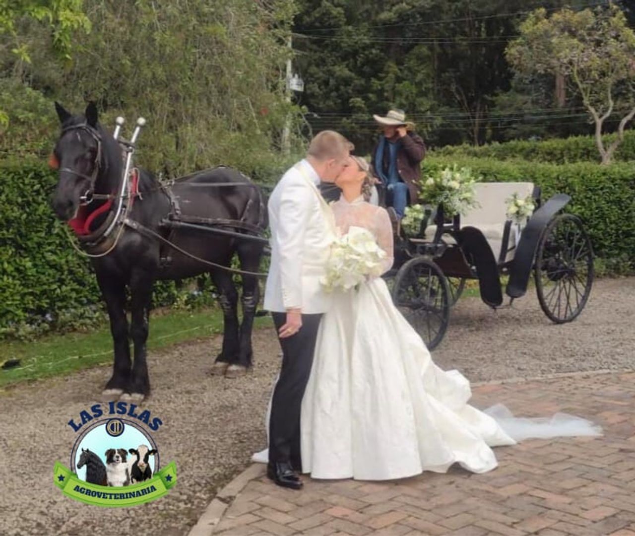 ALQUILER DE CARRUAJE CON CABALLO PARA EVENTO