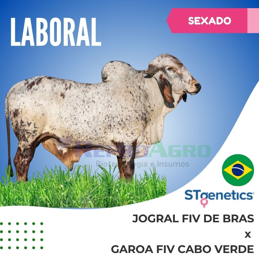 LABORAL SEXADO
