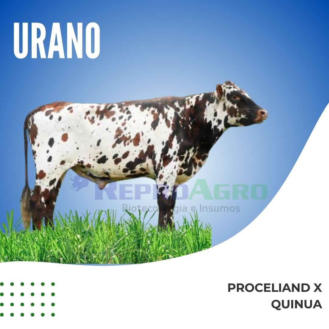 URANO