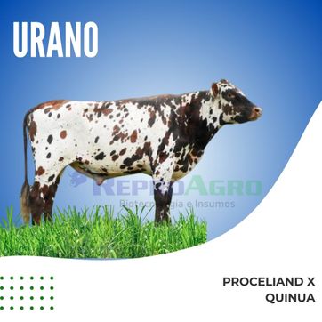 URANO - imagen 1