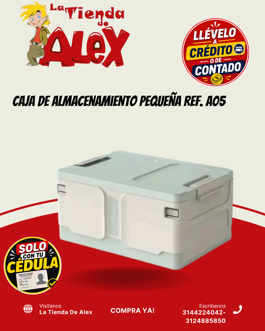 Caja de Almacenamiento Pequeña Ref. A05