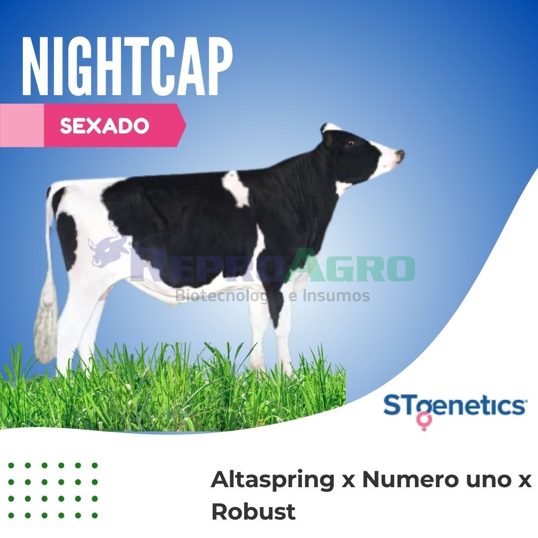 NIGHTCAP SEXADO