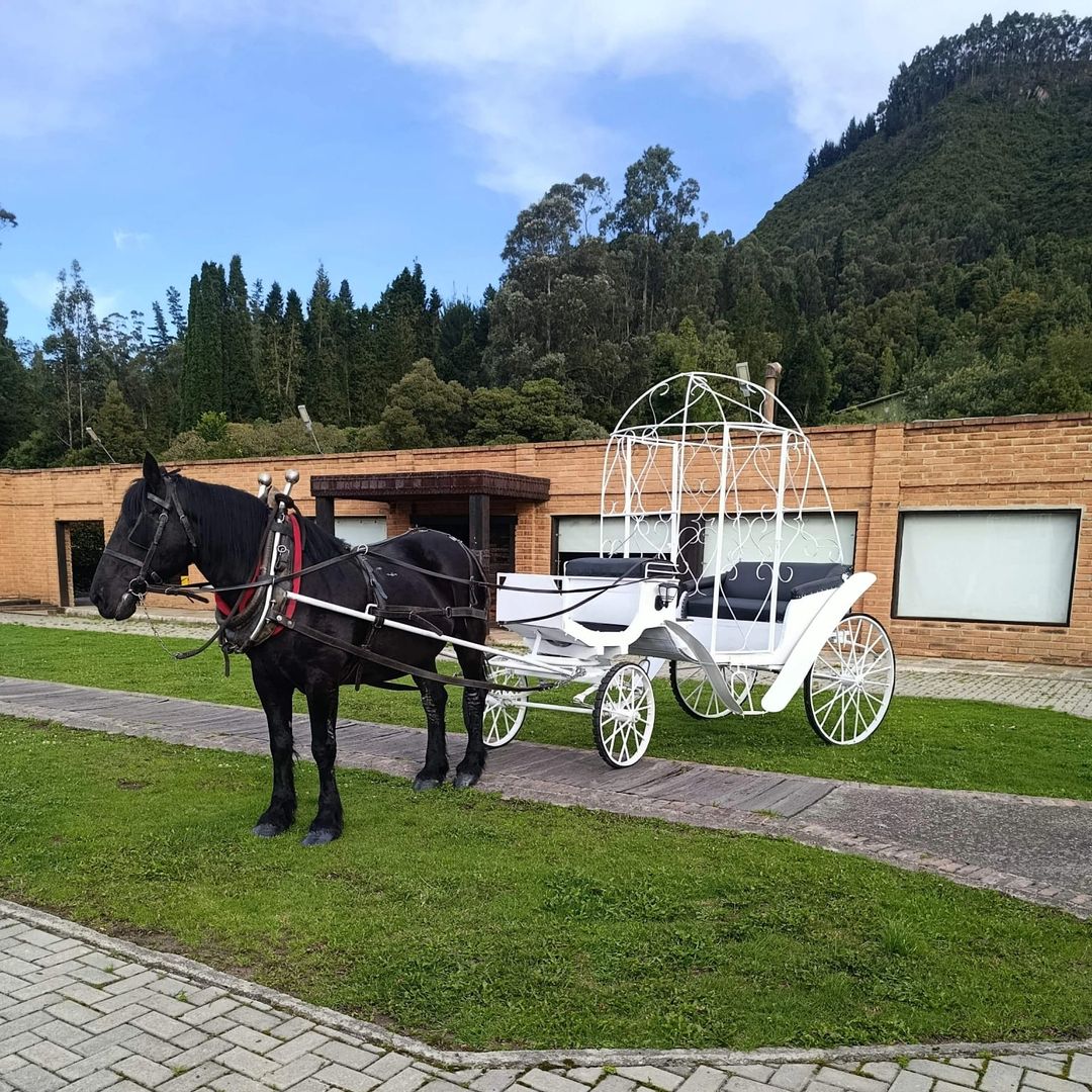 ALQUILER DE CARRUAJE TIPO VICTORIA
