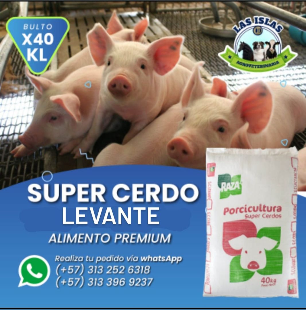 SUPER CERDOS LEVANTE