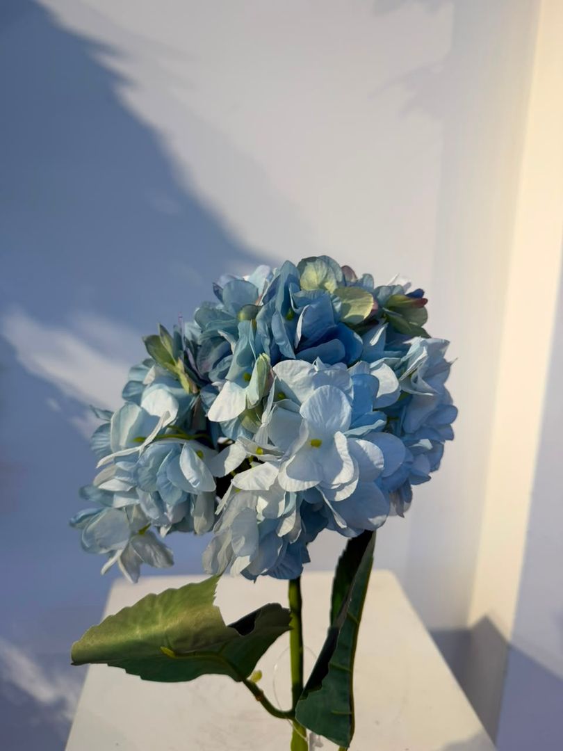 HORTENCIA AZUL EN VARA