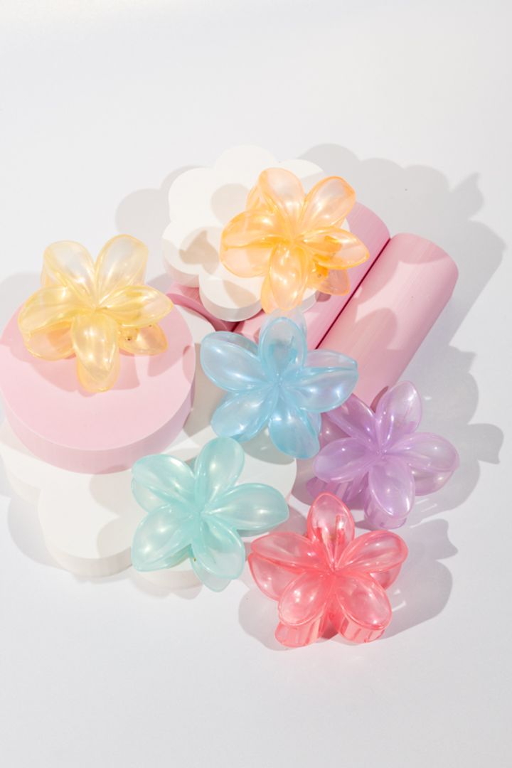 CAIMÁN TRASLÚCIDO COLORES