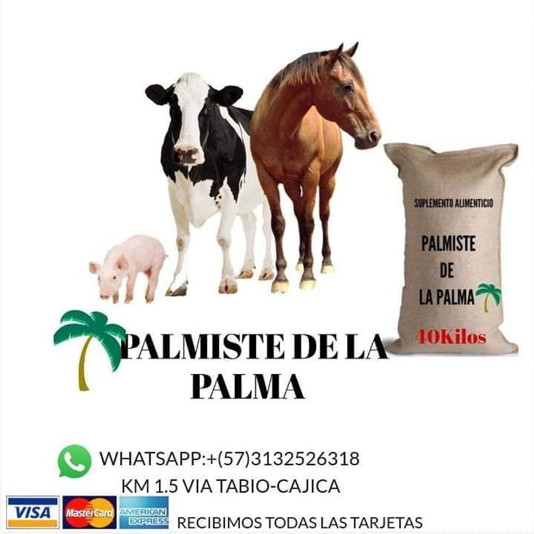 TORTA DE PALMISTE x 40 Kilos