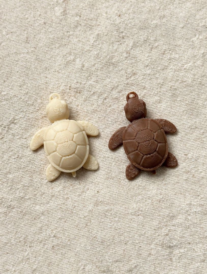 Dije Tortuga 3D