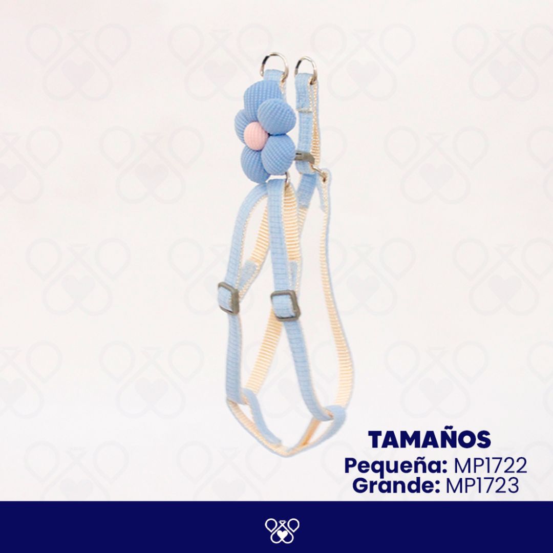 MP172-