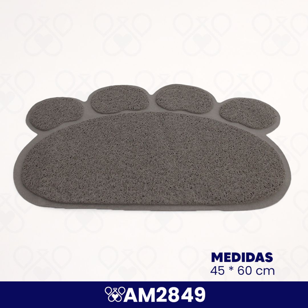 AM2849