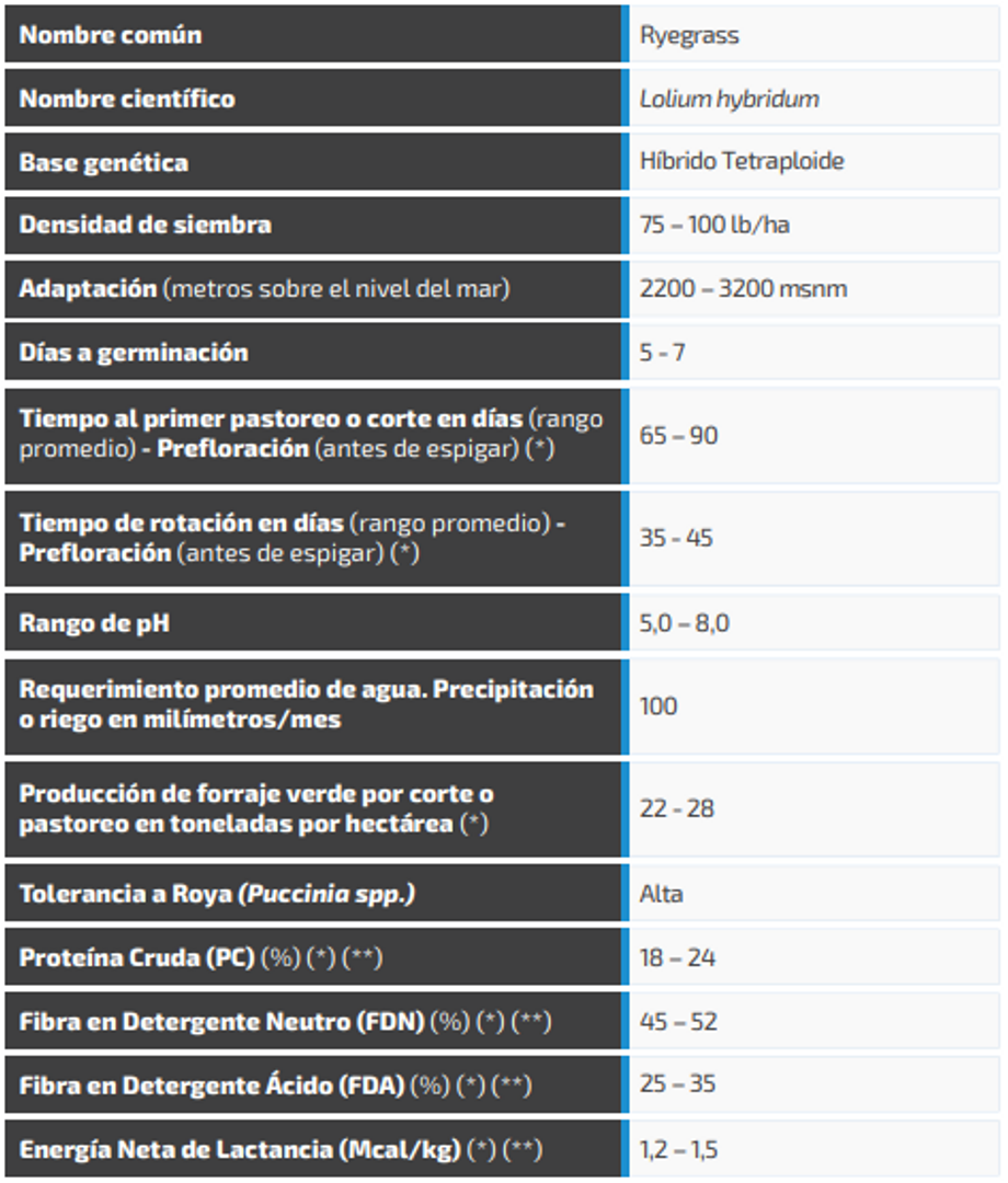 Ryegrass Shogun (Híbrido tetraploide) x Kilo