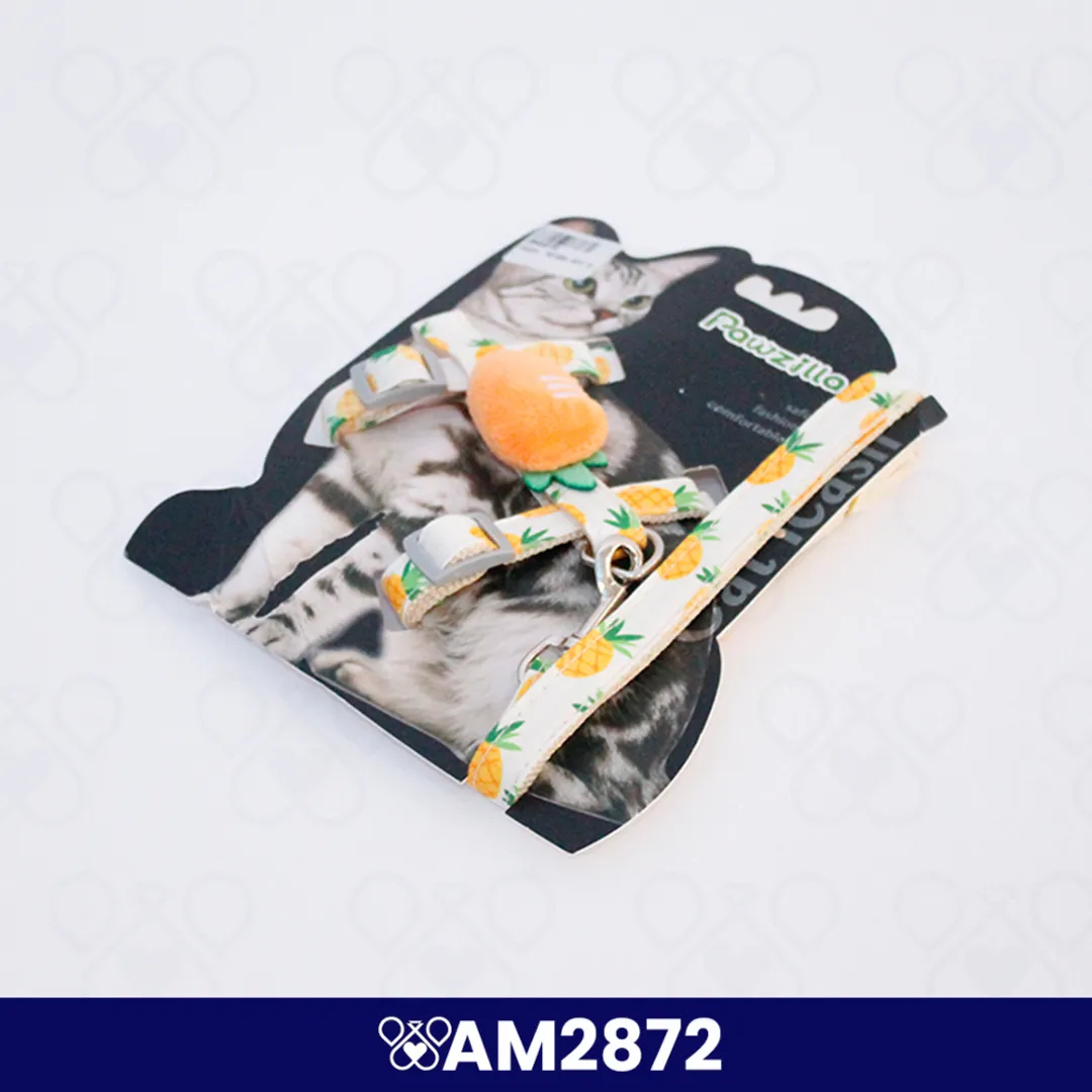 AM2872