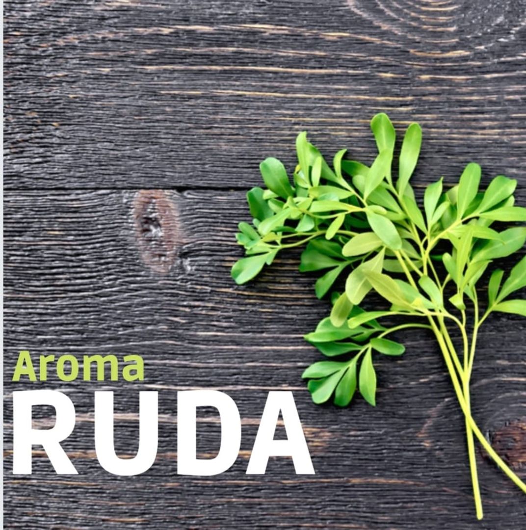 AROMA RUDA