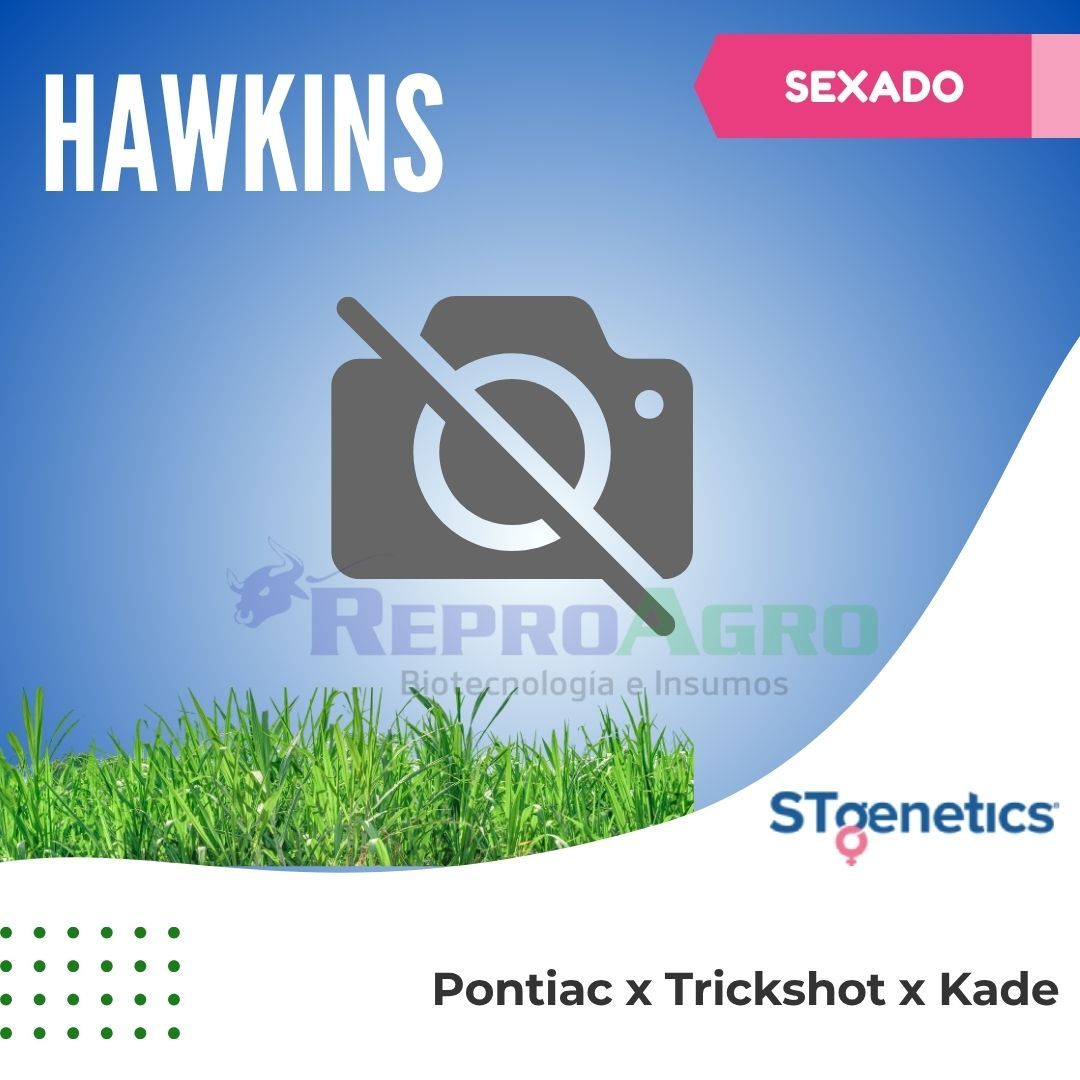 HAWKINS SEXADO
