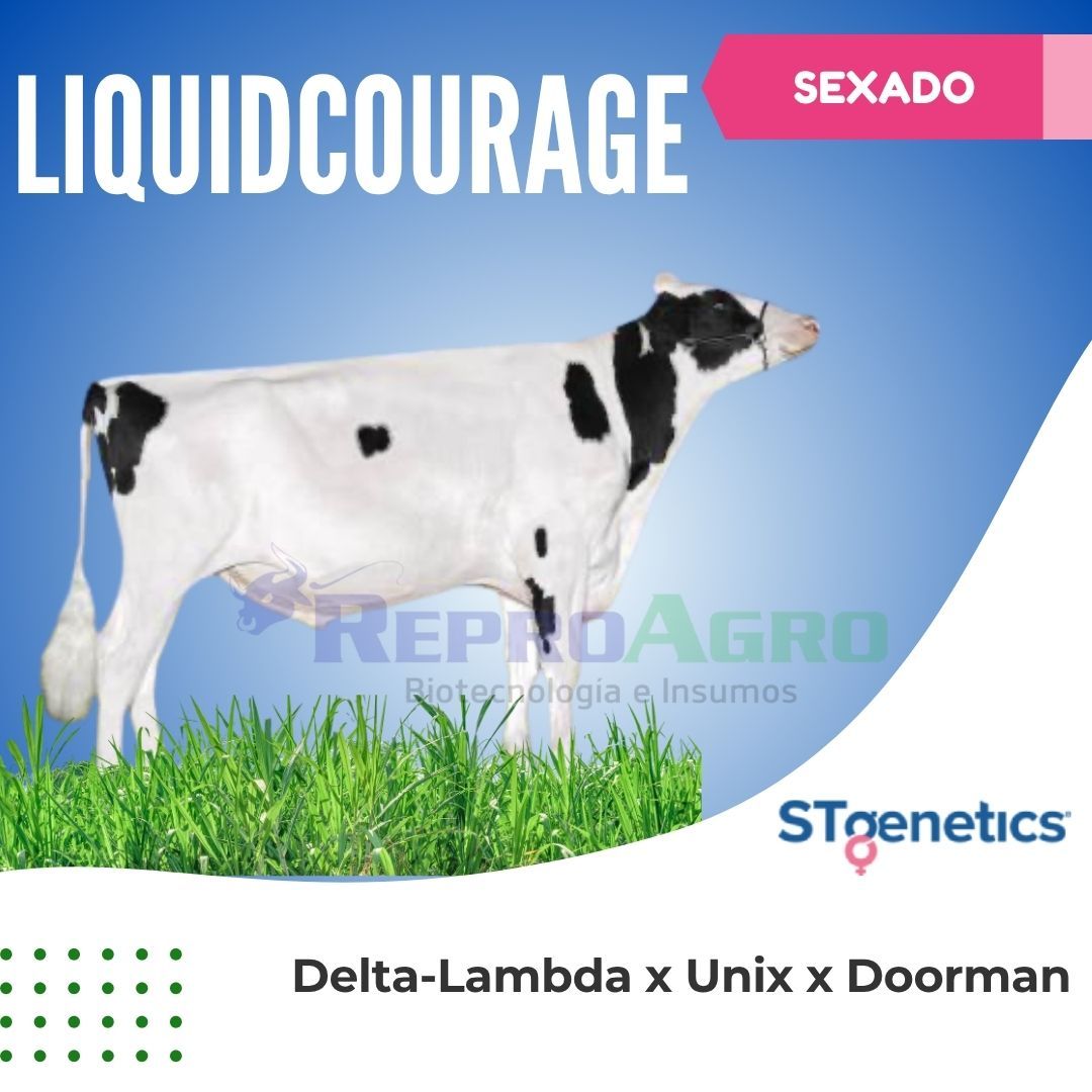 LIQUIDCOURAGE SEXADO