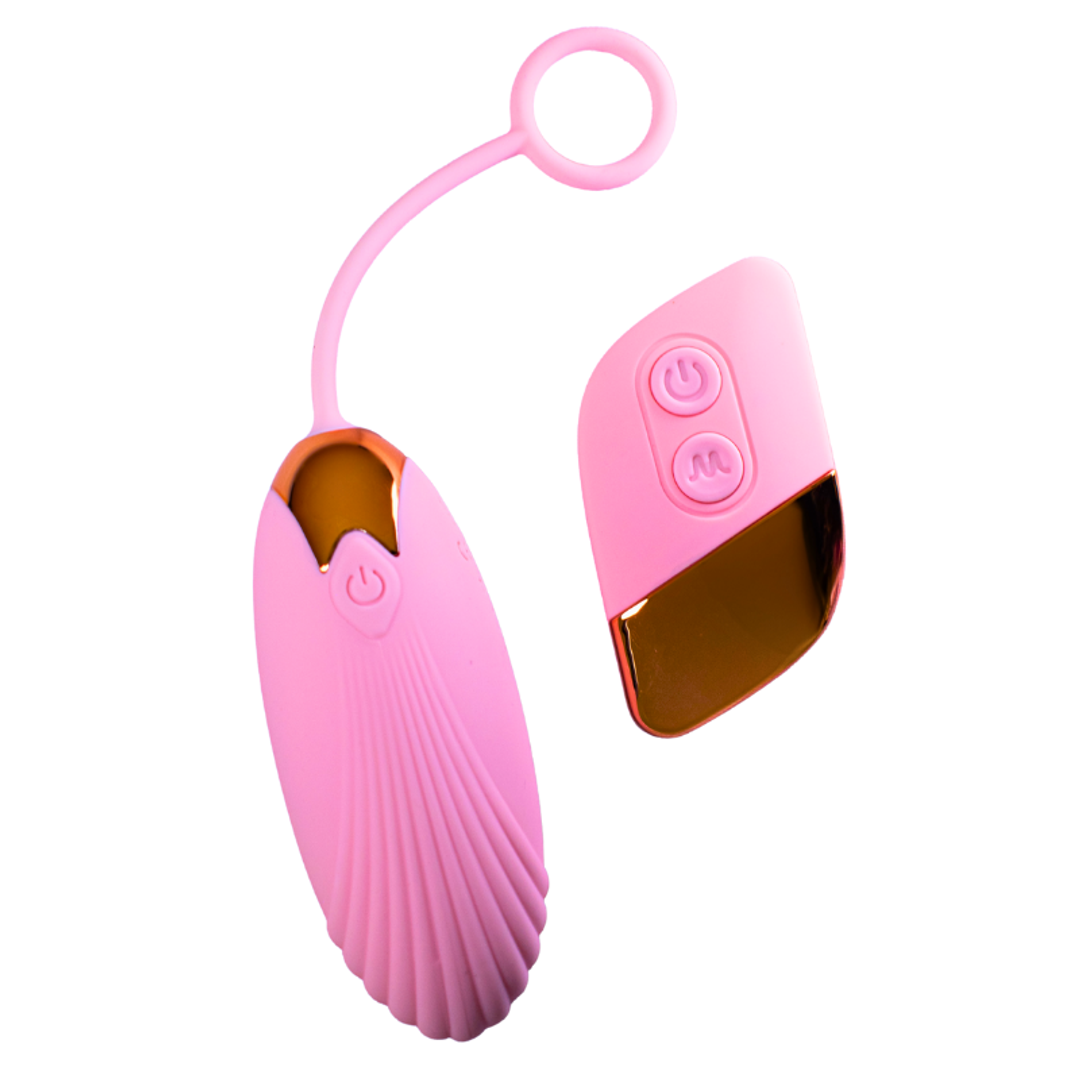 SG1793  HUEVO INALAMBRICO CONTROL