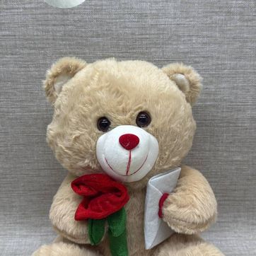 Imagen del producto OSO BEIGE CON ROSA Y CARTA 30 CM