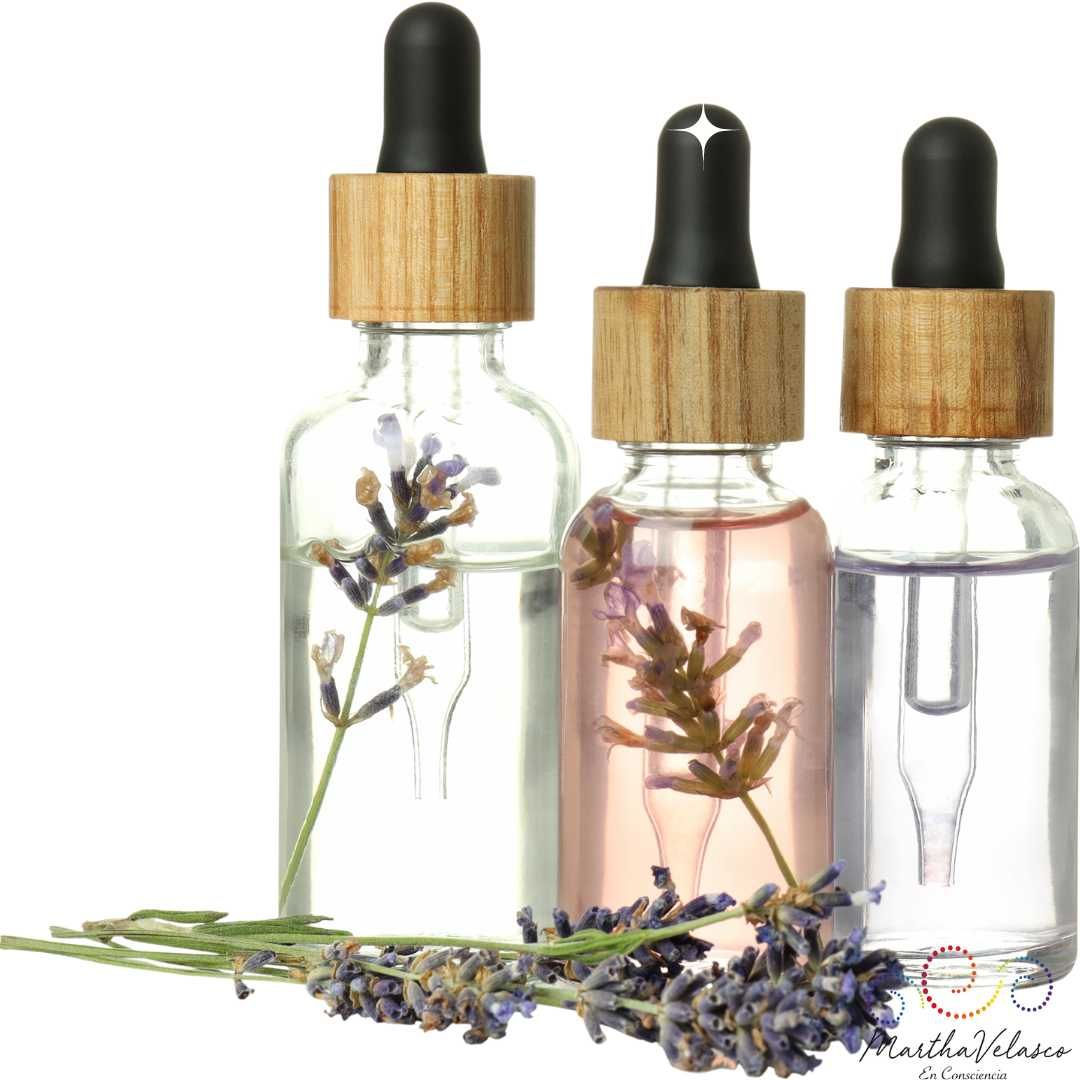 Taller Serums faciales