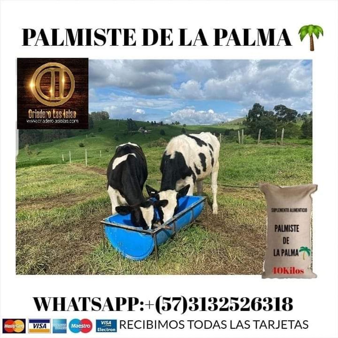 TORTA DE PALMISTE REMOLIDO x 40 Kilos