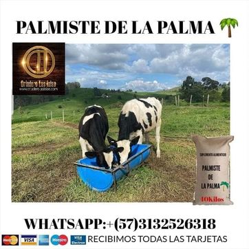 Imagen del producto TORTA DE PALMISTE REMOLIDO x 40 Kilos