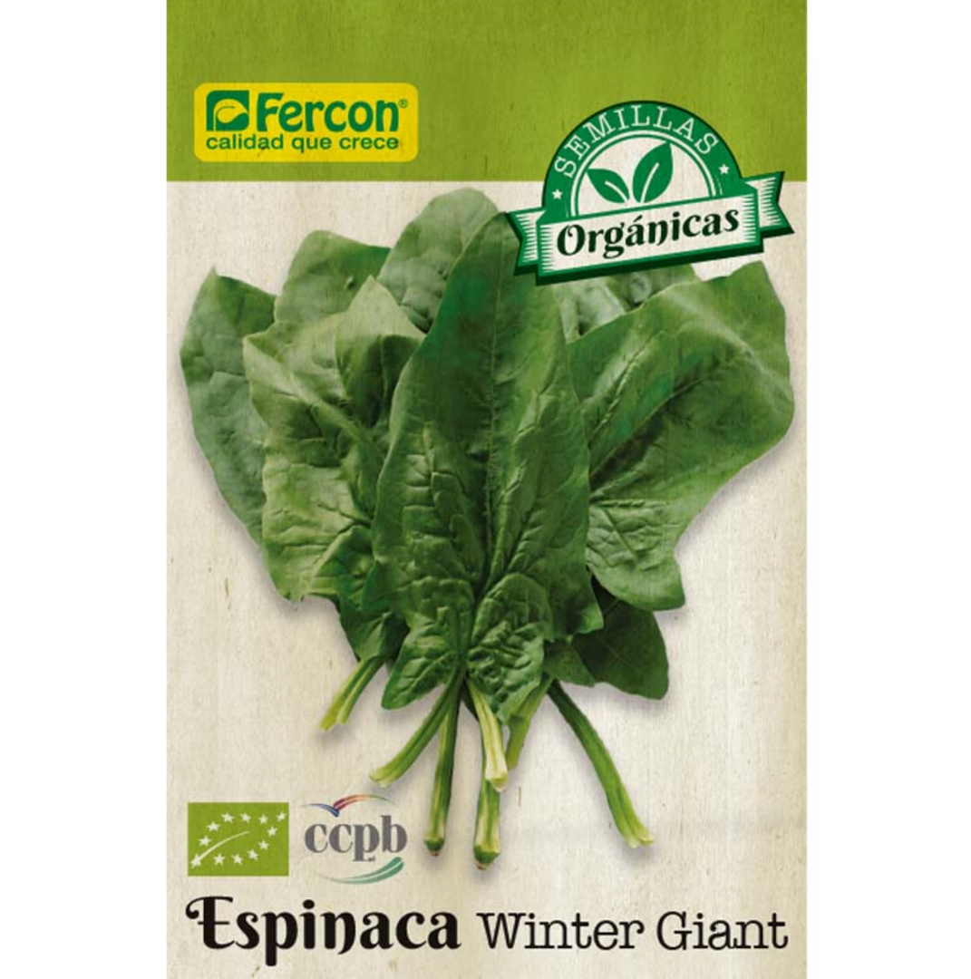 ESPINACA ORGÁNICA 