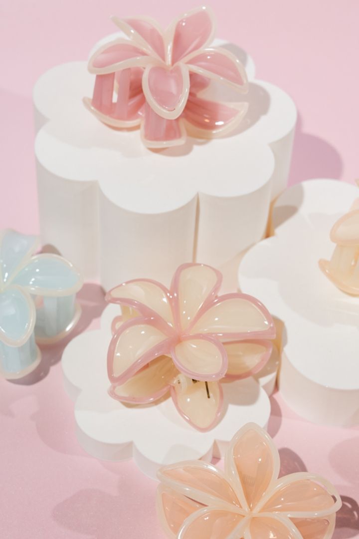 CAIMAN HAWAIANO BORDES