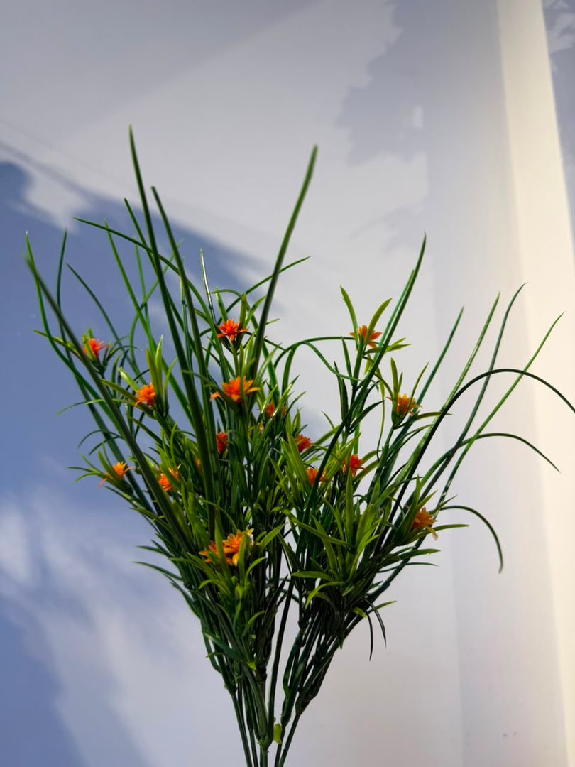 PASTO CON FLOR NARANJA